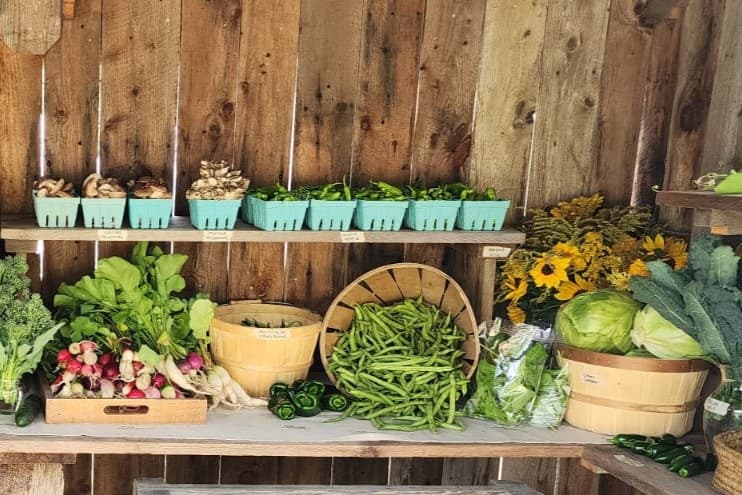 Farm image 5