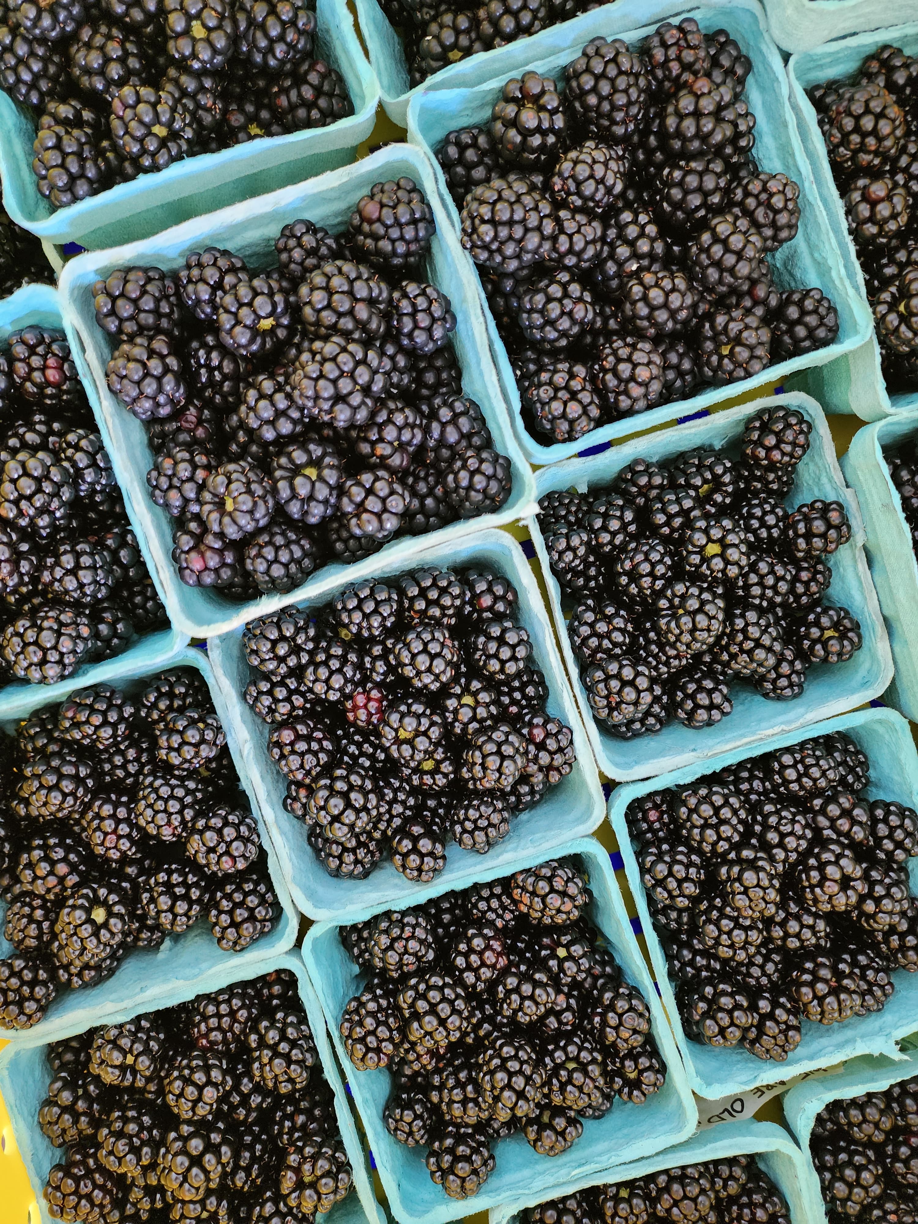Mixed seasonal berries