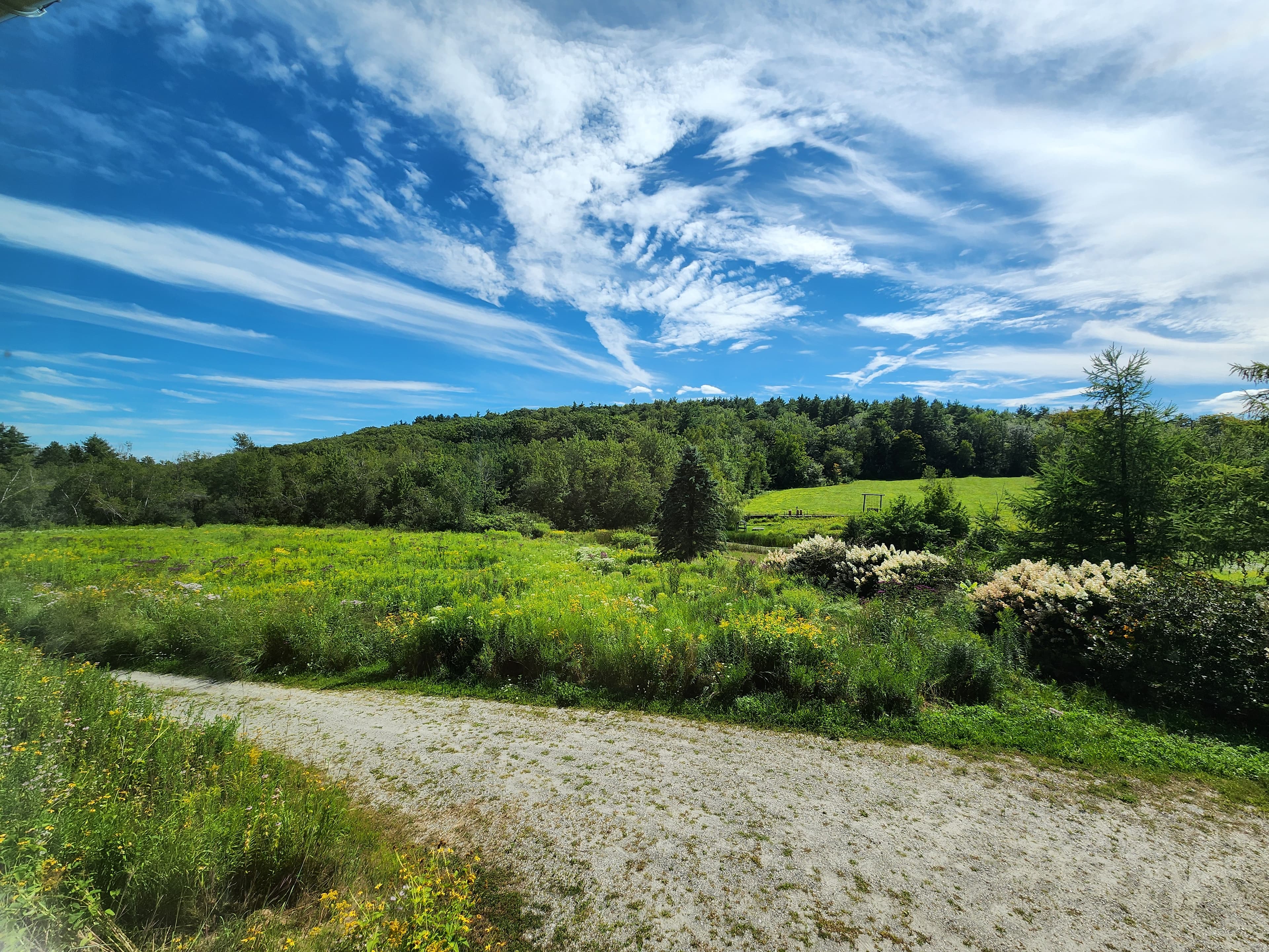 Husky Meadows Farm fields and rolling hills in Norfolk, CT