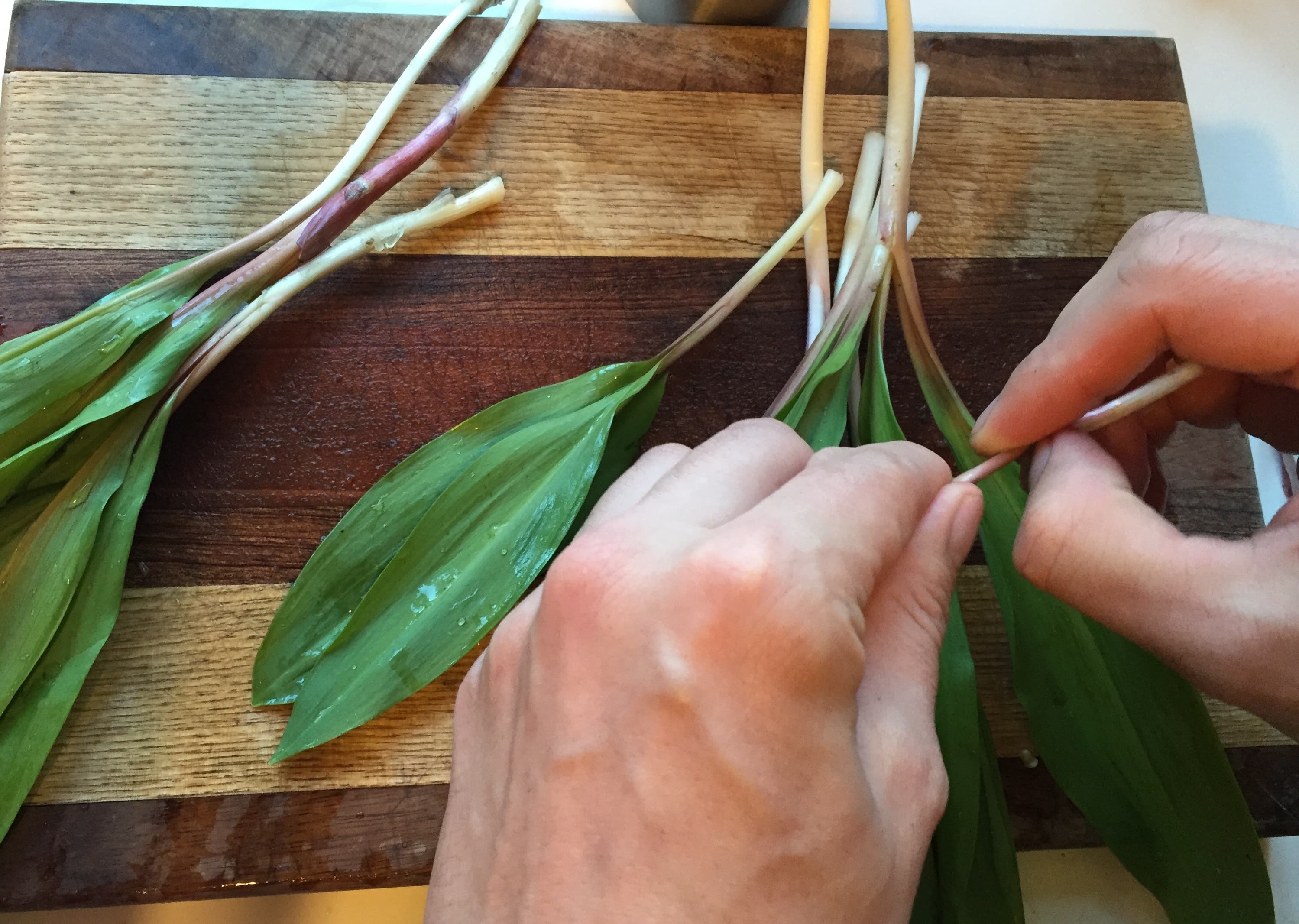 Foraged ramps and seasonal produce